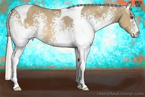 Horse Color:White Spotted Silver Buckskin Dun Tobiano Rabicano