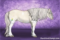 Horse Color:Silver Classic Champagne Roan Dun Splash 