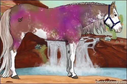 Horse Color:Chocolate Palomino Sabino Splash 