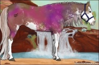 Horse Color:Chocolate Palomino Sabino Splash 