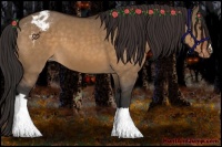 Horse Color:Brown Dun Appaloosa