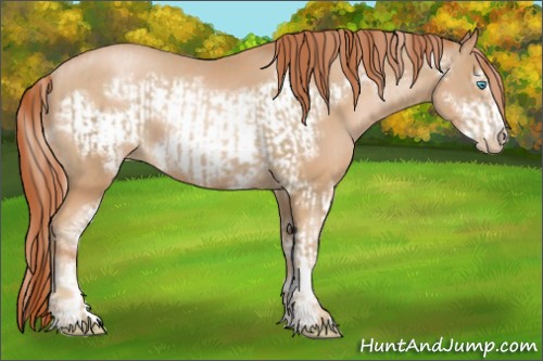 Horse Color:Chocolate Palomino Pearl  and Buckskin Pearl Sabino 