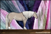 Horse Color:Liver Red Dun Rabicano 