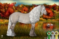 Horse Color:Liver Red Dun Mushroom Rabicano 