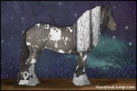 Horse Color:White Spotted Smoky Black Chinchilla Rabicano 