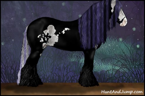 Horse Color:Painted White Spotted Smoky Black Chinchilla Splash Tobiano Rabicano