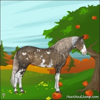 Horse Color:White Spotted Chocolate Palomino Mushroom Splash 