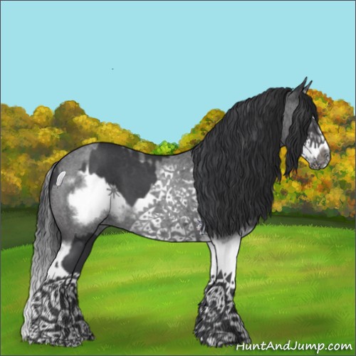 Horse Color:Blue Roan Sabino Splash Frame  and Blue Roan Sabino Splash Frame 