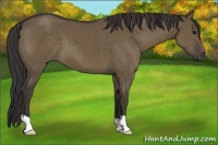 Horse Color:Smoky Grullo 