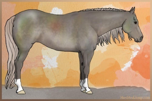 Horse Color:Silver Black 