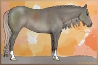 Horse Color:Silver Black 