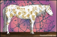 Horse Color:Black Splash Tobiano Near Leopard  and Black Splash Tobiano Near Leopard Rabicano 