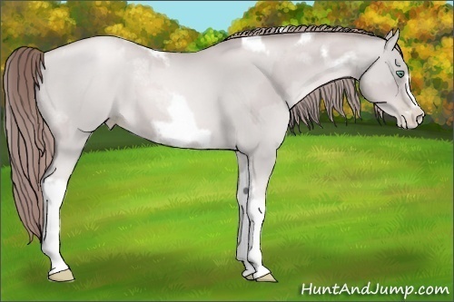 Horse Color:Platinum Smoky Black Pearl Tobiano Frame  and Platinum Smoky Black Pearl Tobiano Frame 