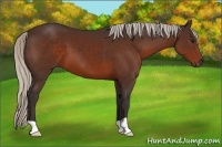 Horse Color:Silver Brown 