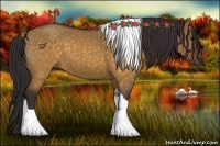 Horse Color:Buckskin Dun Tobiano 