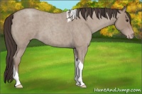 Horse Color:Classic Champagne Roan Tobiano 