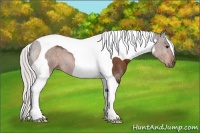 Horse Color:Silver Brown Tobiano 