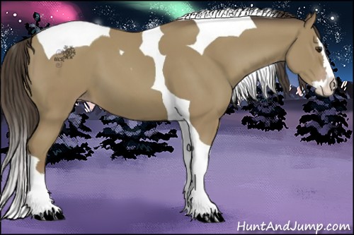 Horse Color:Classic Champagne Splash Tobiano 