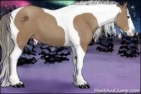 Horse Color:Classic Champagne Splash Tobiano 