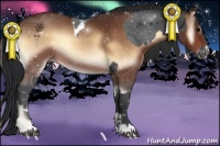 Horse Color:Black Sabino Blanket  and Bay Onyx Sabino 