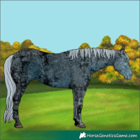 Horse Color:ERROR: UNKNOWN ANOMALY