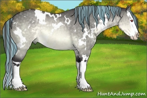 Horse Color:Painted White Spotted Buckskin Chinchilla Splash 