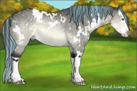 Horse Color:Painted White Spotted Buckskin Chinchilla Splash 