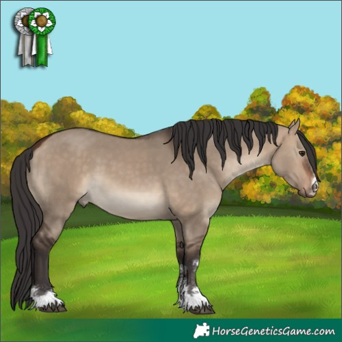 Horse Color:Bay Dun
