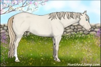 Horse Color:Smoky Creme Roan Dun 
