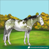 Horse Color:Gray Platinum White Spotted Brown Onyx Splash Brindle 