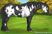 Horse Color:Black  and Black Frame 