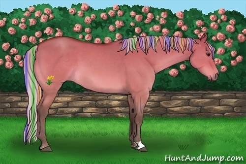 Horse Color:Painted Silver Bay Dun