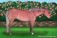 Horse Color:Painted Silver Bay Dun