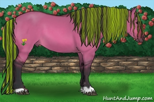 Horse Color:Painted Bay Dun 