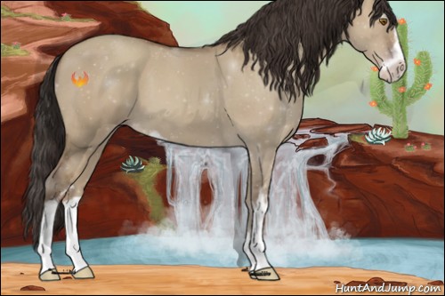 Horse Color:Classic Champagne Dun Sabino 