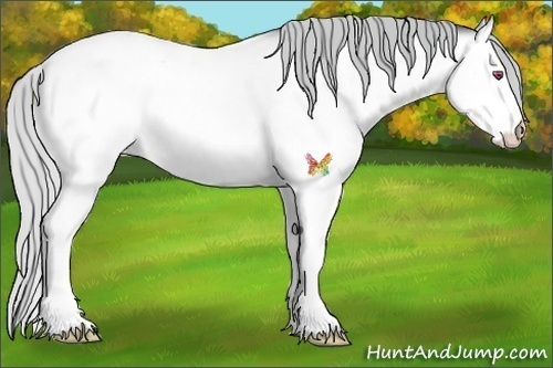 Horse Color:White Spotted Silver Bay Chinchilla Roan Onyx 