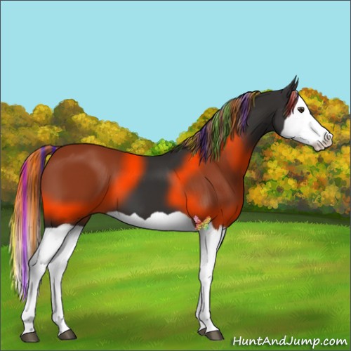 Horse Color:Painted Liver Chestnut Splash