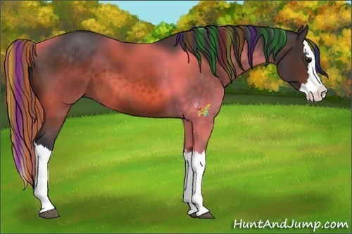 Horse Color:Painted Brown Splash