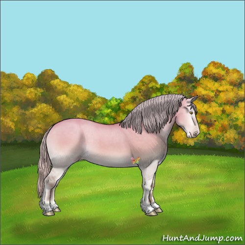 Horse Color:Silver Amber Cream Champagne Onyx
