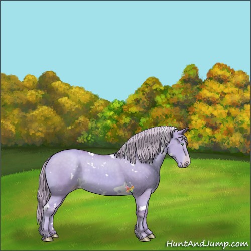 Horse Color:Watercolor White Spotted Gold Cream Champagne Dun 