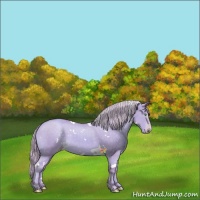 Horse Color:Watercolor White Spotted Gold Cream Champagne Dun 