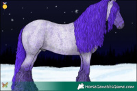 Horse Color:Gray Watercolor White Spotted Blue Ice Roan