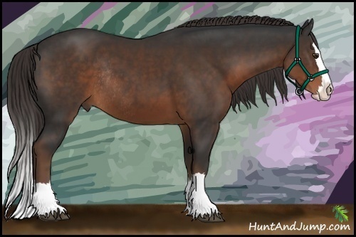 Horse Color:Liver Chestnut Sabino Splash Rabicano 