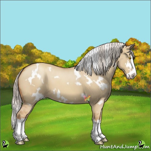 Horse Color:White Spotted Silver Classic Champagne Dun Splash 