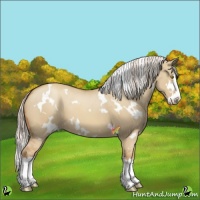 Horse Color:White Spotted Silver Classic Champagne Dun Splash 