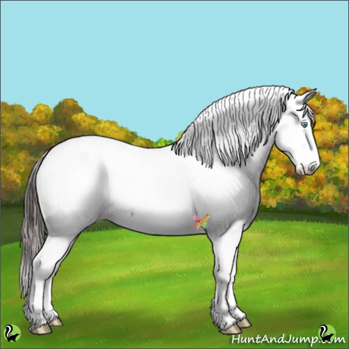 Horse Color:Classic Champagne Fewspot 