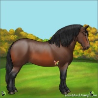 Horse Color:Brown 