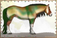 Horse Color:Bay Onyx Sabino