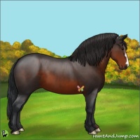 Horse Color:Brown 