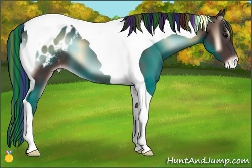 Horse Color:Painted Brown Onyx Tobiano Appaloosa 
